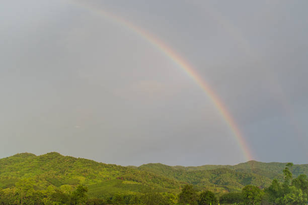 Rainstorms and dark clouds
