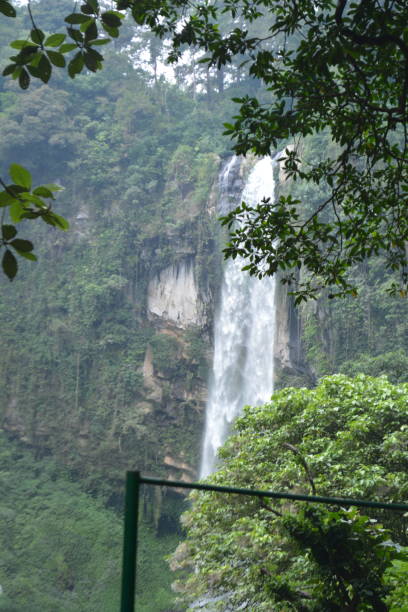 istock background photo of a waterfall in the forest 2116248003
