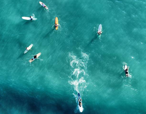 istock Surfers Waikiki beach 2116285374