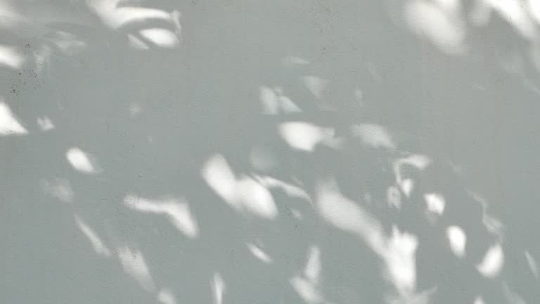 4K footage shadows of leaves moving slowly in the wind on a gray cement background.