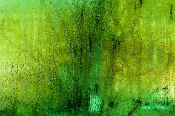 istock wet green glass. condensate droplets 2116432584