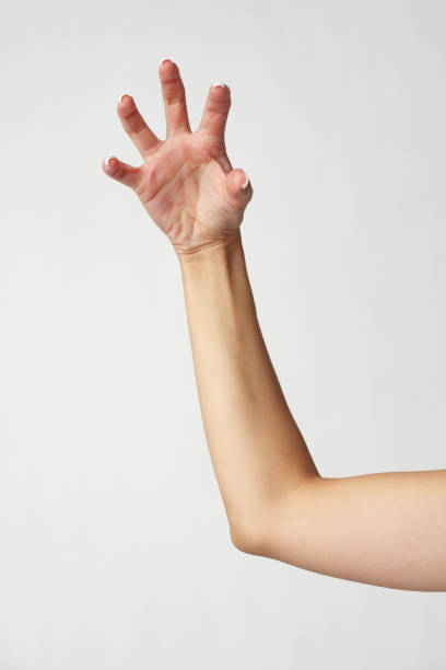 istock Female hand gesturing isolated on white background 2116463314