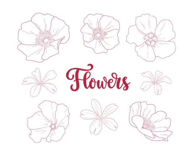 Vector illustration of Set of vector outline flowers with handwritten lettering.