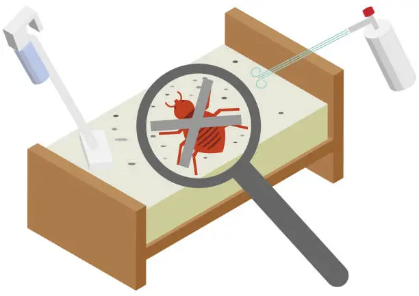 Vector illustration of Isometric image material of exterminating bed bugs