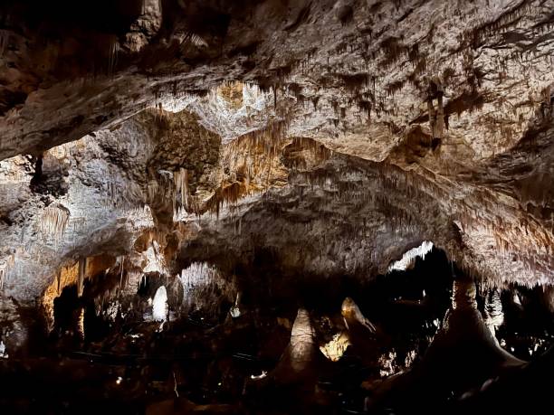 istock Stunning view inside the Big Room at Carlsbad Caverns, New Mexico. 2116530780