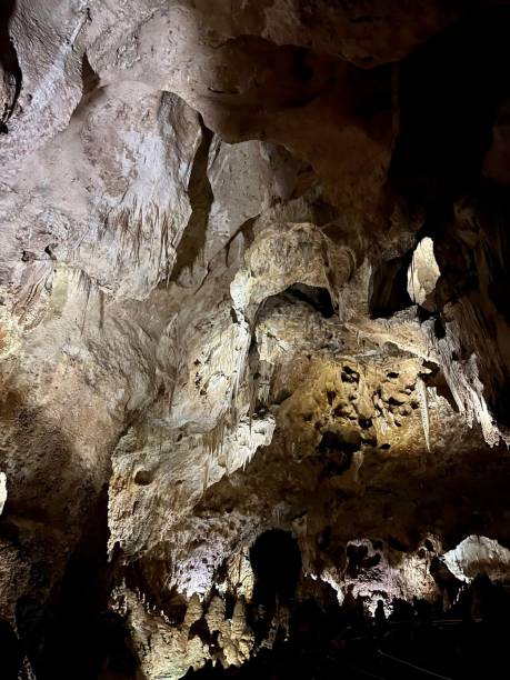 istock Stunning view inside the Big Room at Carlsbad Caverns, New Mexico. 2116530800