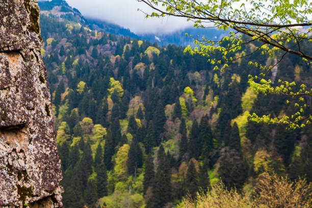 Black Sea region mountain landscape