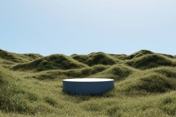 istock Abstract 3d render platform and mockup natural background, Stone podium on the grass field backdrop meadow mountain for product stand display, advertising, cosmetic or etc 2116552814
