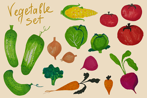 Set of hand-drawing colorful vegetables. Healthy lifestyle. Delicious organic food.