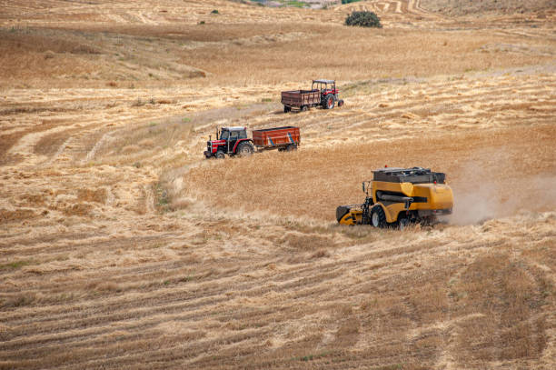 istock Combine harvester machine and tractors waiting for loading 2116579473