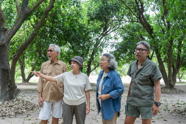 istock Asian senior talking at garden 2116597184