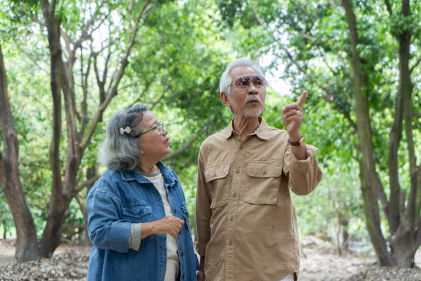 istock Asian senior couple walking in garden 2116597192