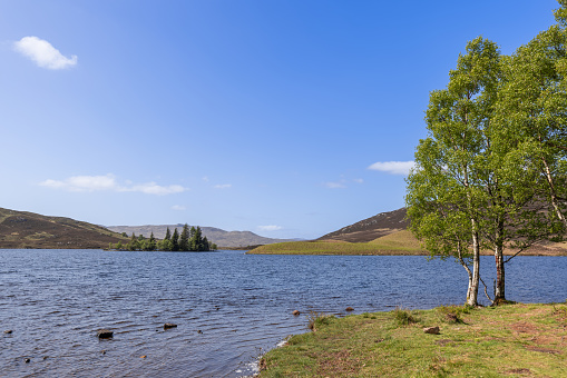 A peaceful Scottish loch bordered by lush, green trees under a clear sky, with distant hills gently rolling into the landscape. The tranquil waters and vibrant foliage offer a serene escape into natures embrace