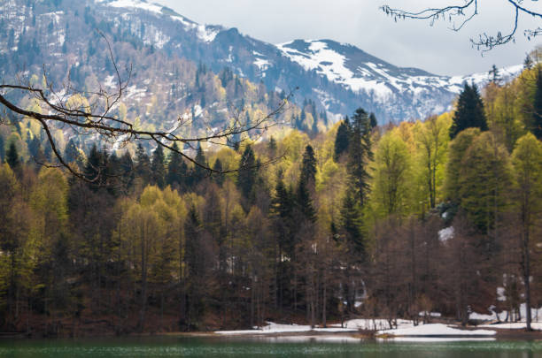 Autumn view from Karagol in Borcka district of Artvin province