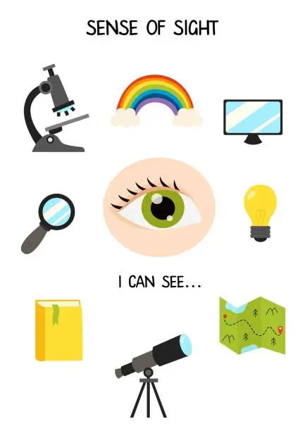 Vector illustration of Five senses poster. Sense of sight. Worksheet for kids.