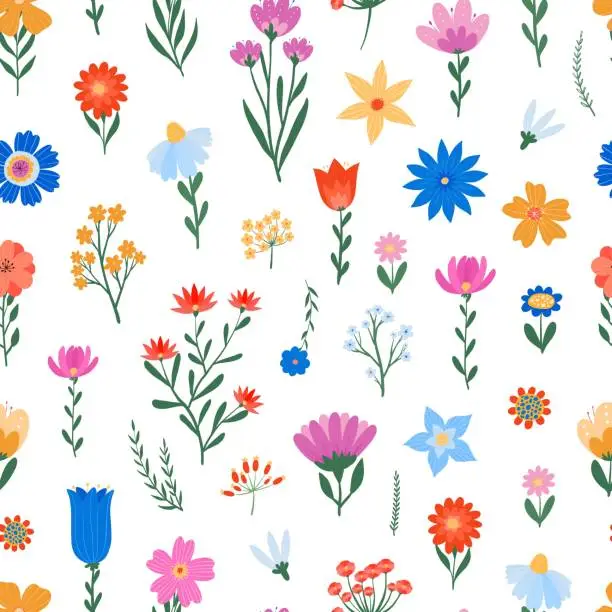 Vector illustration of Floral seamless pattern with hand drawn wildflowers
