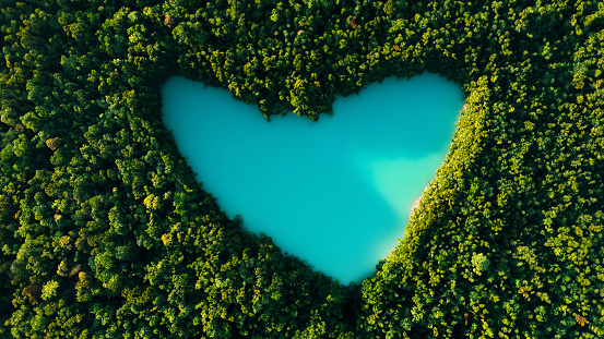 Beautiful heart lake in a green dense forest, bird's eye view. Love for nature, concept. Travel, creative idea.