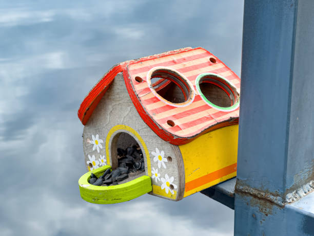 Charming hand-painted birdhouse attached to a metal railing, with calm water in the background, symbolizing urban wildlife care