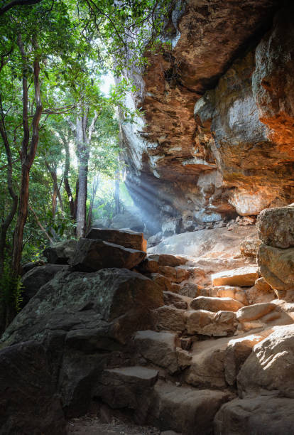 istock The way to to Pidurangala Rock,Sri Lanka 2116739075