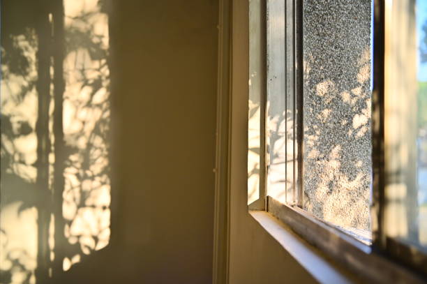 istock Near-Evening Sunlight Illuminates the Room 2116749409