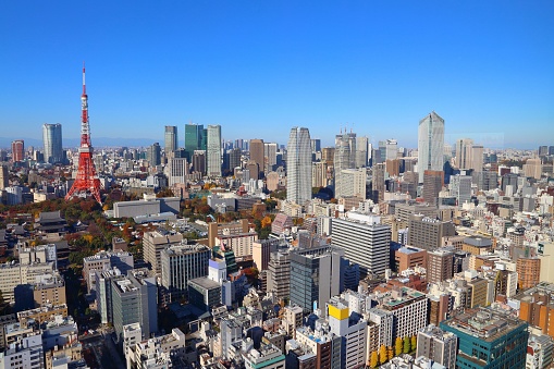 Tokyo city skyline. Big city view in Japan.