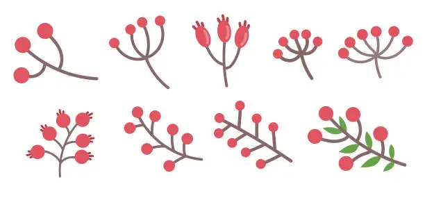 Vector illustration of A large set of different red berries on a branch. Flat vector illustration, editable