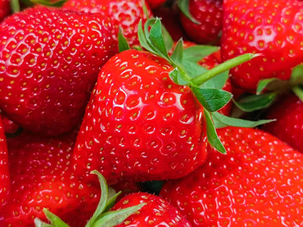 istock pile of strawberries, close-up 2116822536