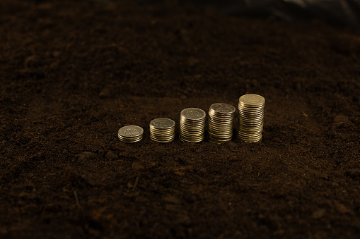 Stacks of coins of money stand on the ground symbolizing investment in agricultural and agrarian business. Money coins on the ground in ascending order. Making a profit from farming..
