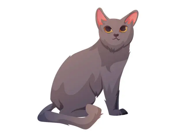 Vector illustration of Gray sitting domestic cat, vector isolated cartoon illustration.