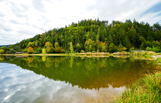 Poplar forest lake near Berghaupten in the Black Forest. Idyllic autumn landscape by the lake. Pappelwaldsee.