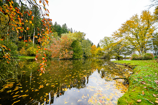 Autumn landscape with lake, trees and colorful leaves in the park
