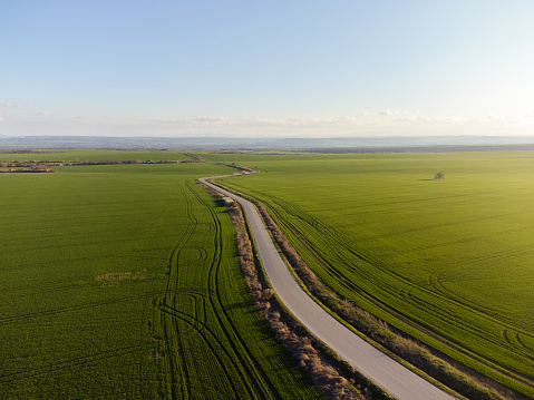 Road passing through agricultural fields in the spring
