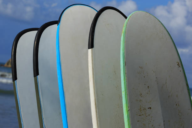istock Surfboards for rent at seaside surf club 2116965709