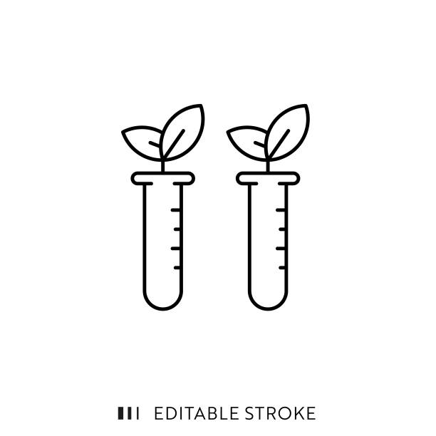 projekt ikony linii biochemicznej z edytowalnym obrysem. nadaje się do infografik, stron internetowych, aplikacji mobilnych, projektowania ui, ux i gui. - genetic modified food stock illustrations