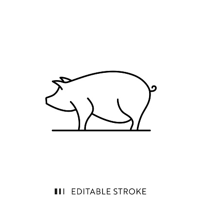Pig Farming Line Icon Design with Editable Stroke. Suitable for Infographics, Web Pages, Mobile Apps, UI, UX, and GUI design.