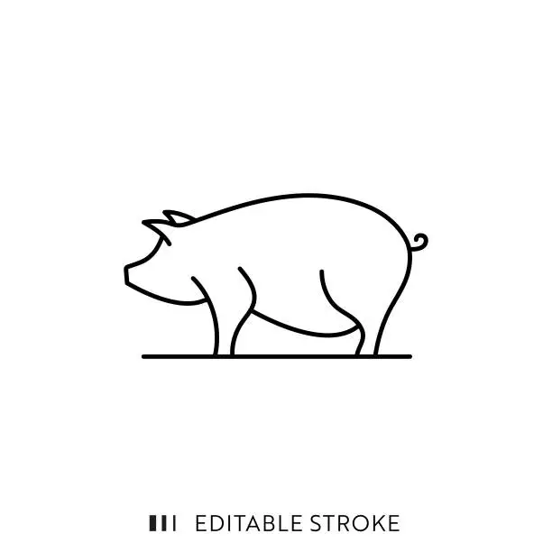 Vector illustration of Pig Farming Line Icon Design with Editable Stroke. Suitable for Infographics, Web Pages, Mobile Apps, UI, UX, and GUI design.