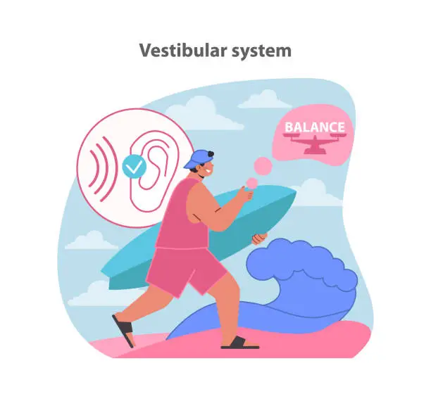 Vector illustration of Vestibular system illustration. A man engaging with balance.