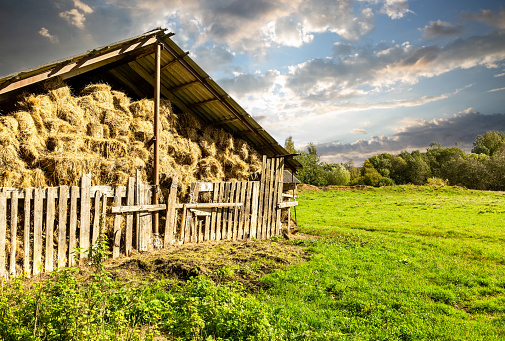 Hay storage with harvested bales of hay for cattle. Agricultural barn canopy with bales hay in summer