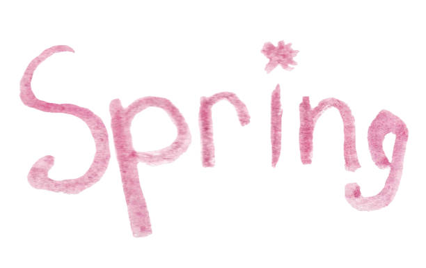 Watercolor illustration lettering Spring isolated on white background. Hand-drawn cartoon clipart text