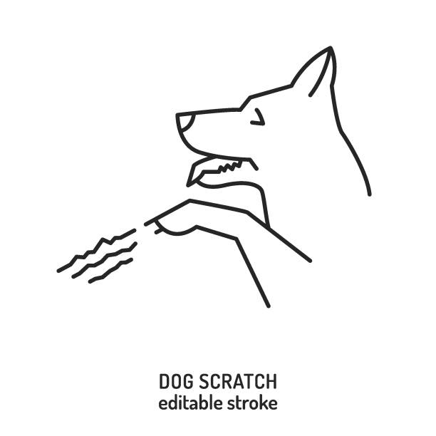 Back Scratch Sign 20+ Back Scratcher Stock Illustrations, Royalty-Free Vector Graphics ...