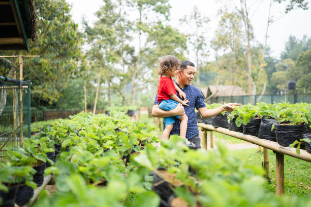 istock dad and son gathering on a farm 2117115674