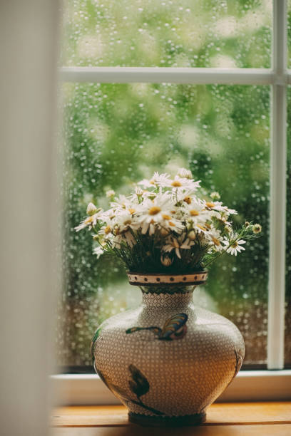 istock A bouquet of daisies in a vase 2117121044