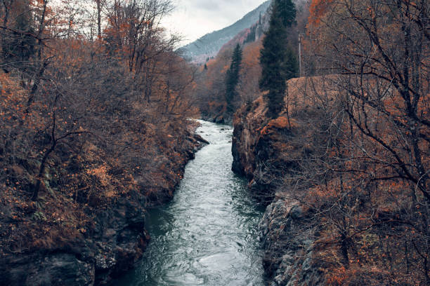 river between mountains autumn forest travel fresh air. High quality photo