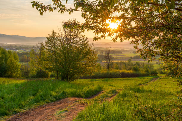 istock Spring sunrise in a spring field with green grass, a path with tire marks, the sun comes out from behind the trees. Village in the background. 2117150802