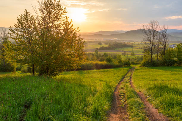 istock Sunrise in a spring field with green grass, a path with tire marks, the sun comes out from behind the tree leaving deep shadows. Mountains in the background. 2117151336