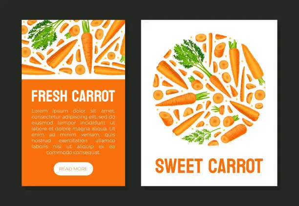 Vector illustration of Bright Carrot Vegetable and Crop Banner Design Vector Template