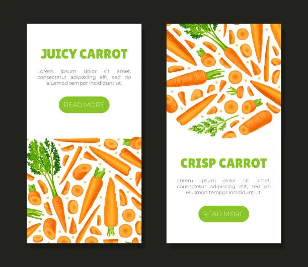 Vector illustration of Bright Carrot Vegetable and Crop Banner Design Vector Template