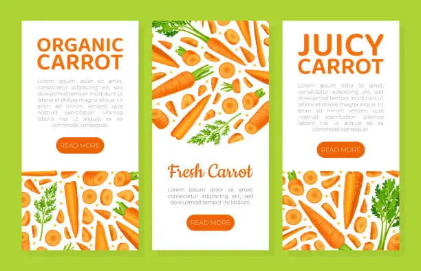 Vector illustration of Bright Carrot Vegetable and Crop Banner Design Vector Template