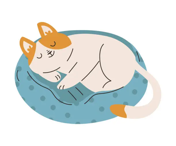 Vector illustration of Funny Cat Domestic Pet with Pretty Snout Sleeping on Cushion Vector Illustration