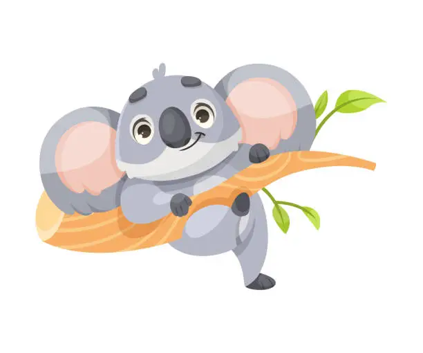 Vector illustration of Cheerful Koala Animal with Large Ears and Pretty Snout Climb Tree Branch Vector Illustration